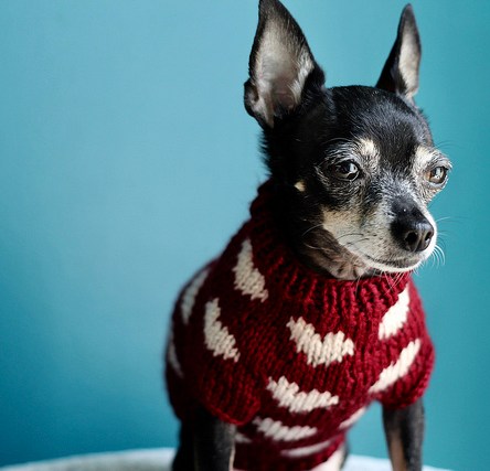 Jellybean's Sweetheart Sweater