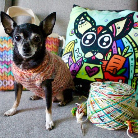 Jellybean the author