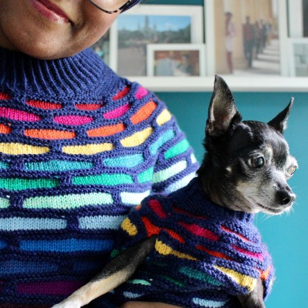 Dana and Jellybean in Painting Bricks Sweaters
